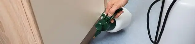Bed bug exterminator treating baseboards and cracks with targeted spray in Duluth, MN