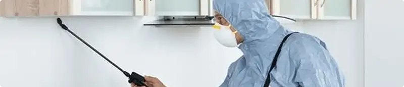 Pest control technician spraying along baseboards for indoor pest treatment in Duluth, MN