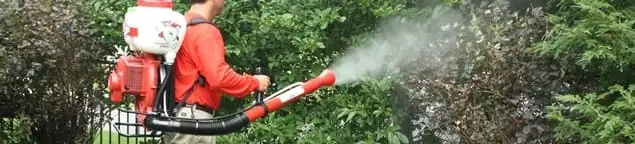 Mosquito control technician fogging shrubs and landscaping for mosquito treatment in Duluth, MN