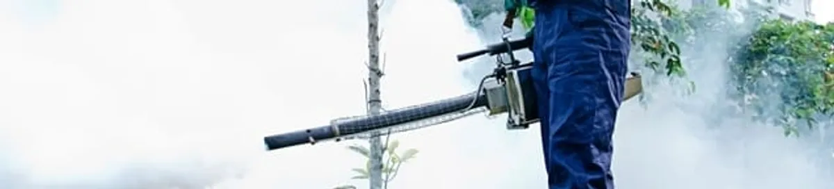 Pest control technician fogging an outdoor area for insect control in Duluth, MN