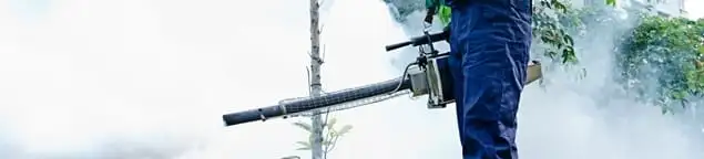 Pest control technician fogging an outdoor area for insect control in Duluth, MN