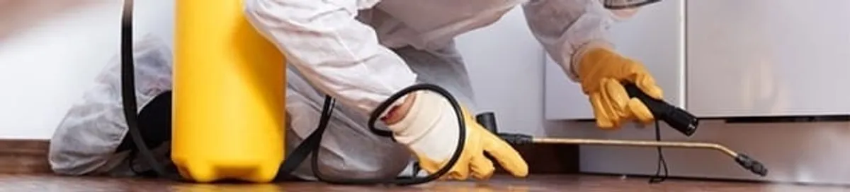 Roach exterminator treating cracks and crevices along kitchen baseboards in Duluth, MN