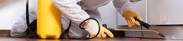 Roach exterminator treating cracks and crevices along kitchen baseboards in Duluth, MN