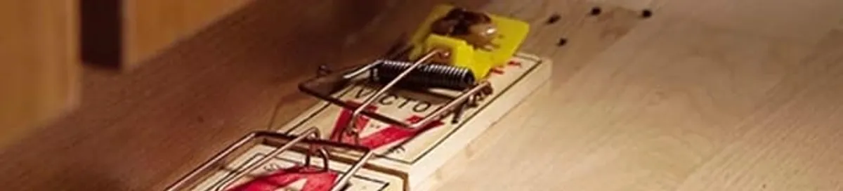 Rodent trap set indoors for rodent control and prevention in Duluth, MN