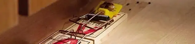 Rodent trap set indoors for rodent control and prevention in Duluth, MN